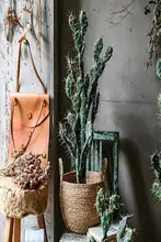 サボテン 装飾品 インテリアデコレーション 擬似植物 アートスタイル ソフトトゲ
