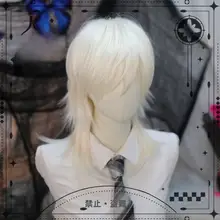 男性用ショートウィッグ【韓国風・仮装用・ふんわり全頭タイプ】