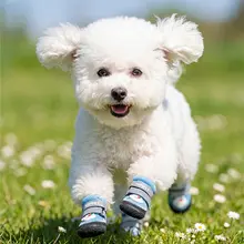 hipidog 犬用ソフトソールシューズ【通気性・中小型犬向け・脱げにくい】