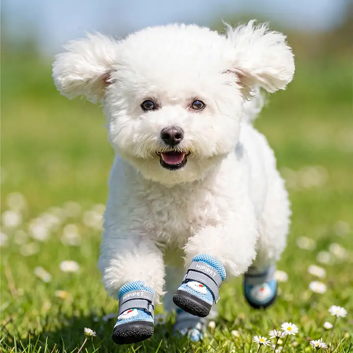 hipidog 犬用ソフトソールシューズ【通気性・中小型犬向け・脱げにくい】
