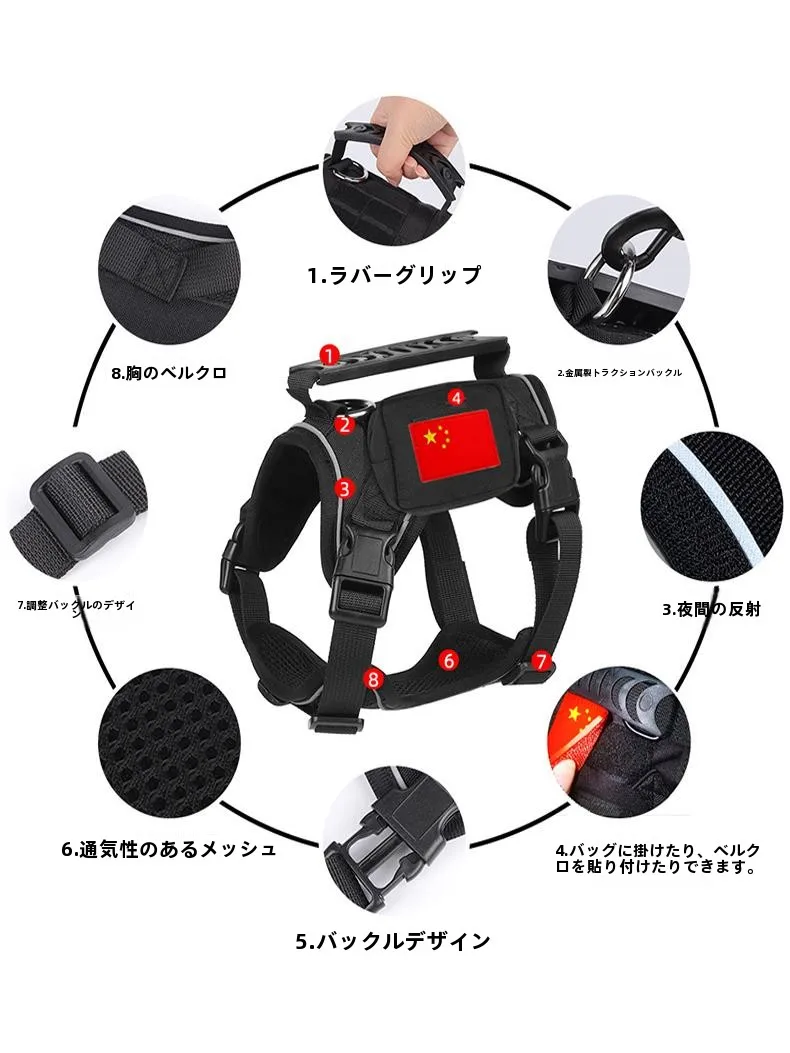 犬のお散歩グッズをコスパ良く揃える方法　完全ガイド