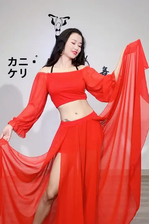 ベリーダンス 練習服 フェアリーコスチューム スーツ