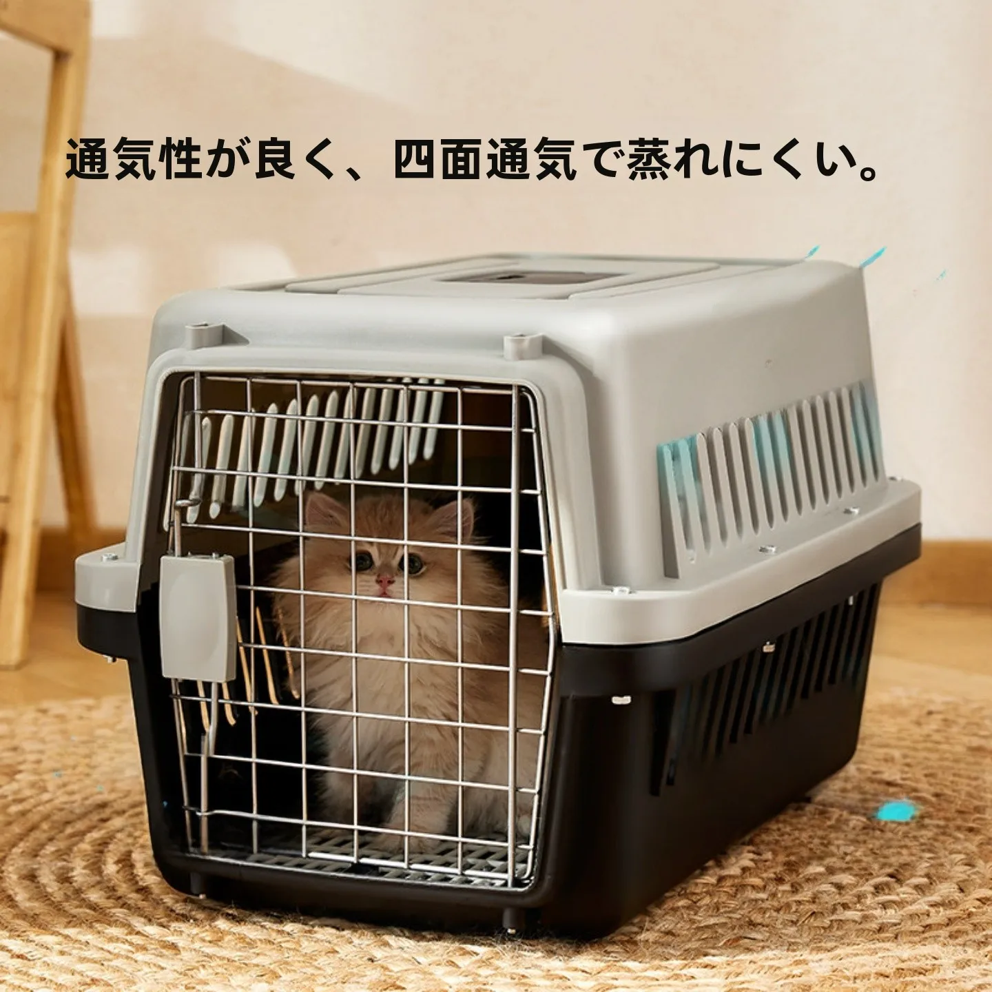 災害時や引っ越しでペットを安全に守るための「キャリーケース」は、本当に必要なのか？