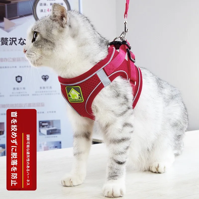 猫の脱走防止 リーシュ：災害時におけるペットの安全確保に最適な固定型防護アイテム