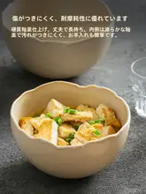 高級感ある陶器製ディッシュプレート【家庭用・華やかデザイン】