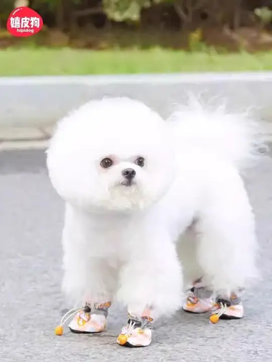 小型犬用防水ブーツ【秋冬用・防汚・裏起毛・テディベアデザイン】