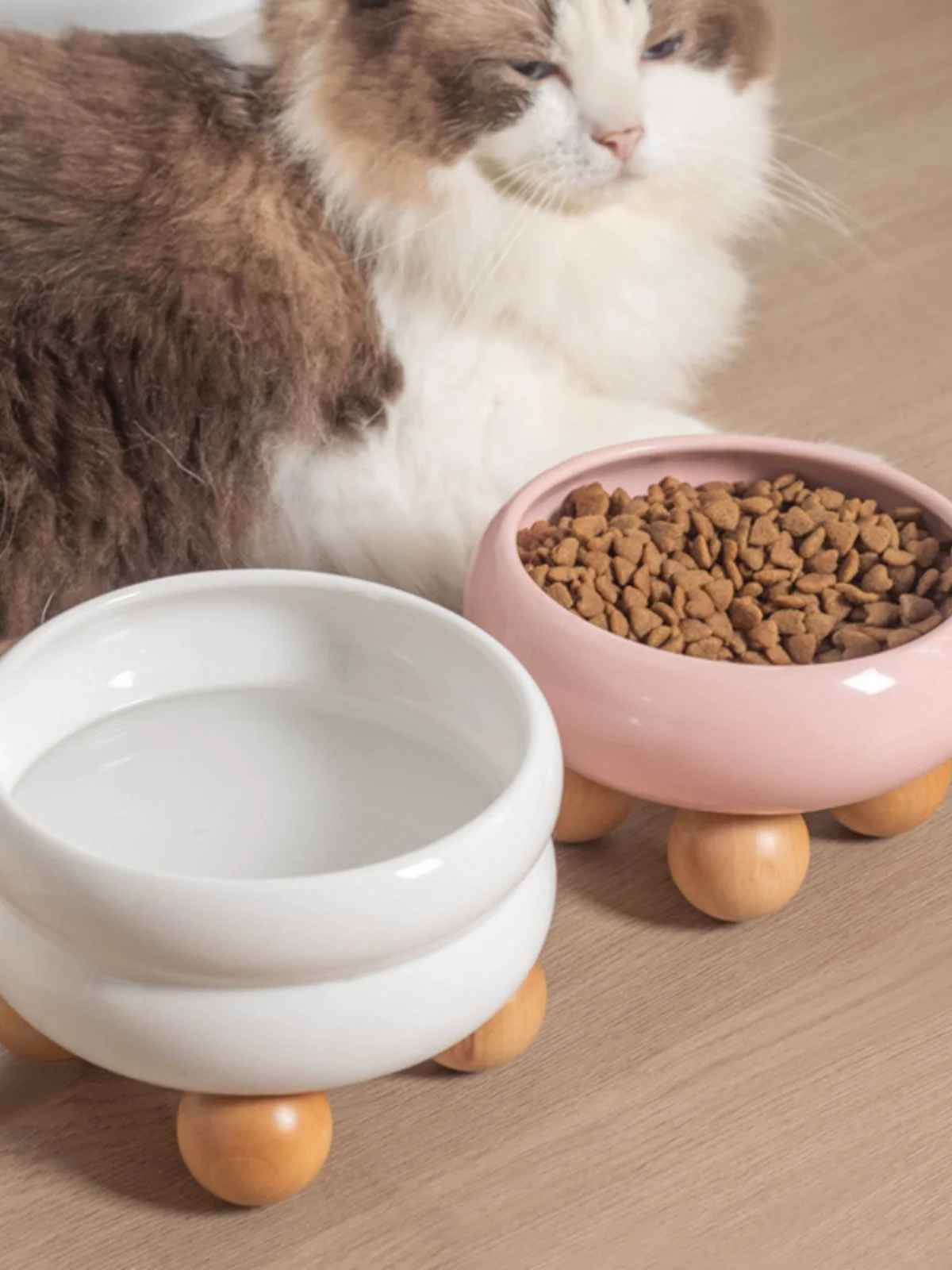 猫飼いが買ってよかったもの・悪かったもの正直に言う｜高脚陶器食器の選び方徹底解説