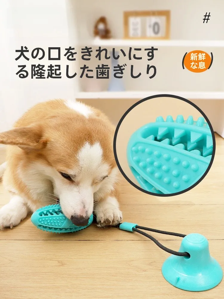 犬用おもちゃ【歯磨き・体力消耗機能付きボール】6ヶ月から9ヶ月の幼犬に最適な長く遊べるおもちゃ