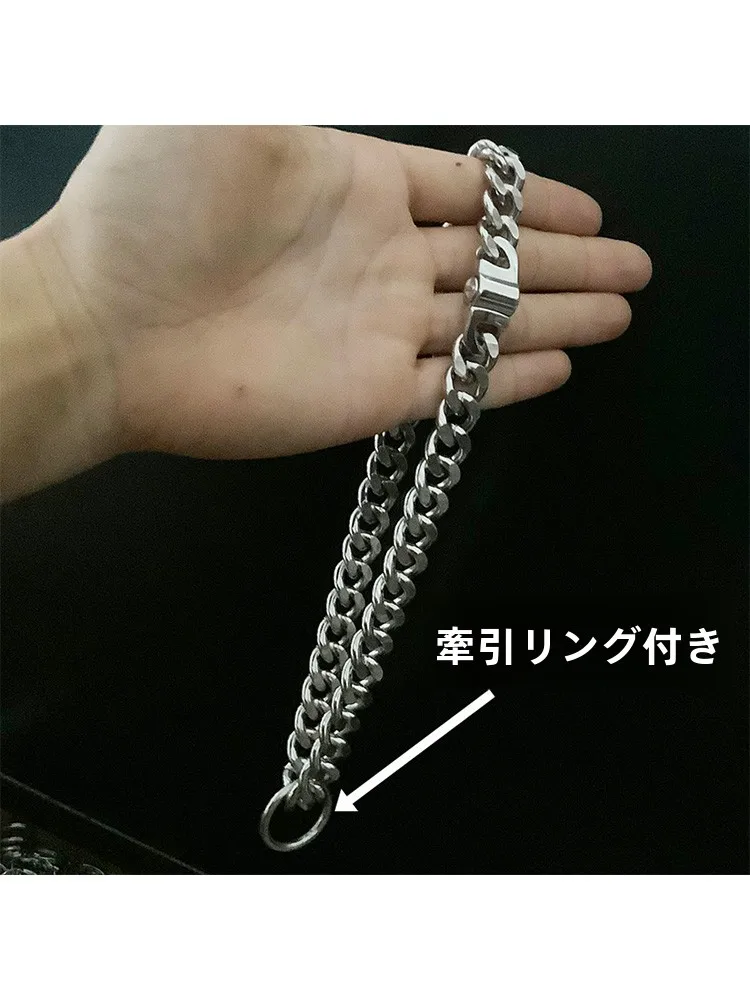 犬のお散歩グッズをコスパ良く揃える方法｜ステンレスチェーンリードの実測ガイド