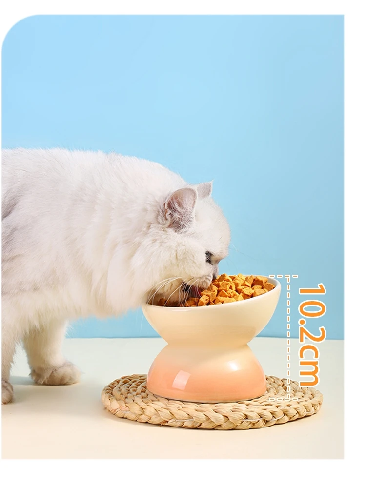 猫の餌入れが早食いを防ぐには？斜め口の陶製ボウルが解決するリアルな悩み