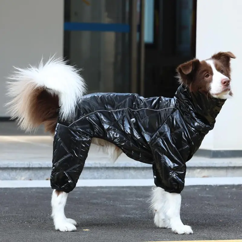 犬の散歩に着せるべきジャケットは？秋冬の寒さを乗り越える、実際の使い心地を語る