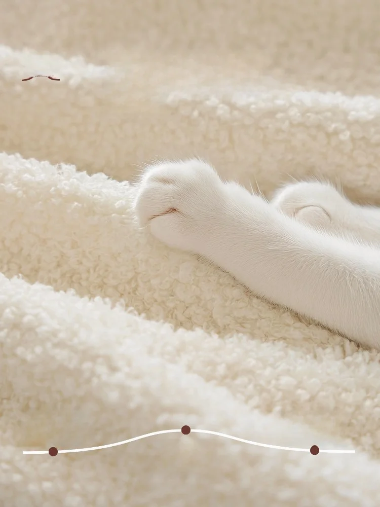 一人暮らし新生活をだけで揃えたら総額いくら？テディファーソファカバーで生活の質を変える完全ガイド