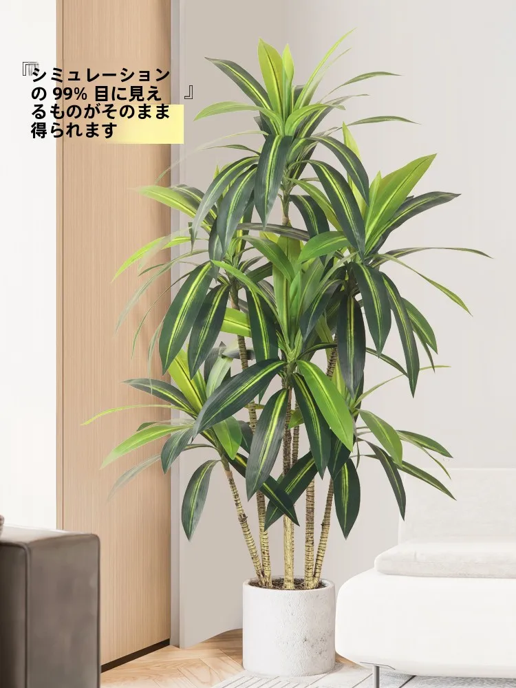 韓国インテリアを再現｜カフェ風部屋の作り方　完全ガイド
