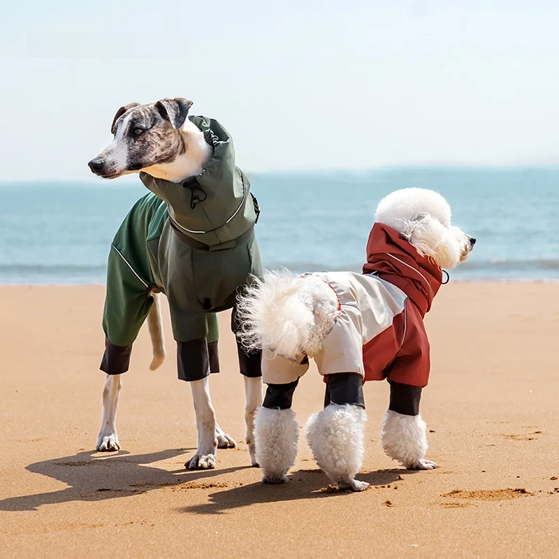 犬用レインコート：全身カバーと腹部保護が実用的な中小型犬向けモデル