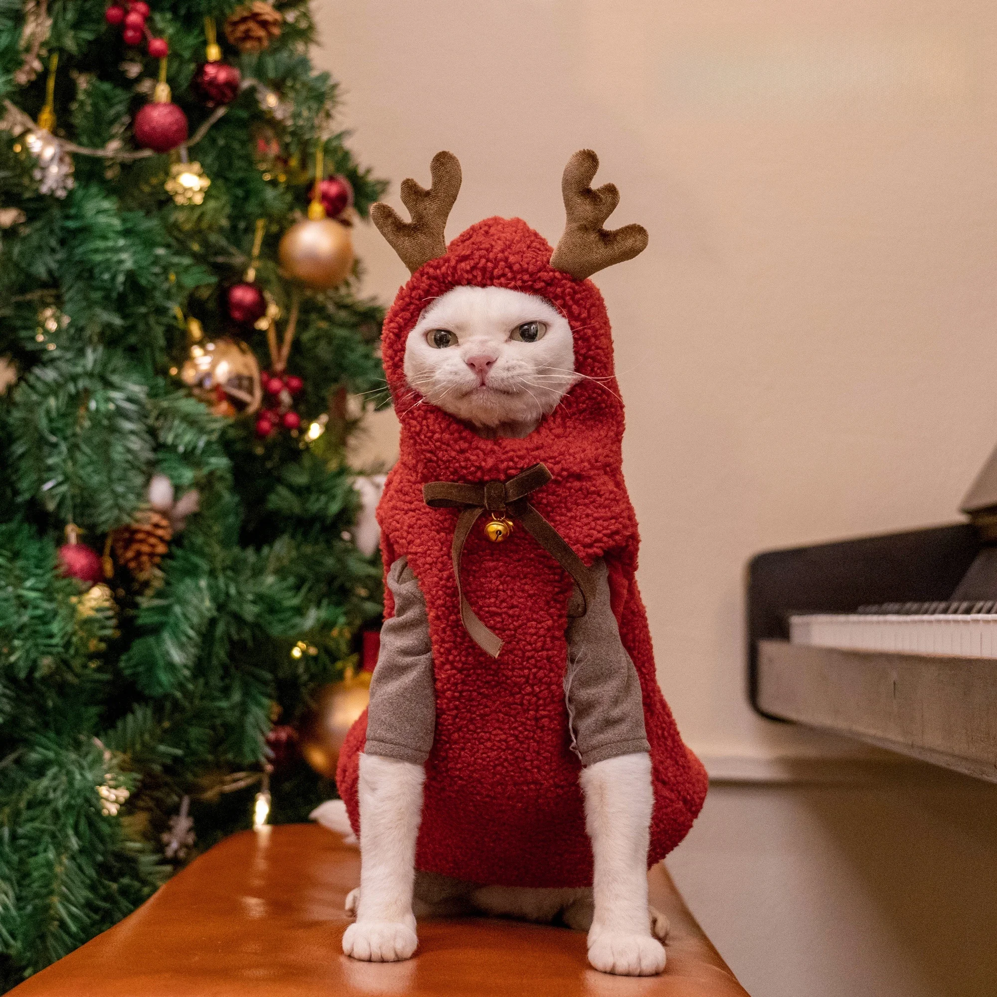 一人暮らしに適した猫の冬用あったかベスト【加厚保温・鹿デザイン】