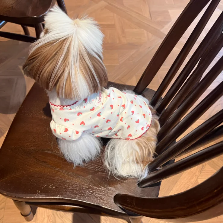 犬用ストロベリーデザイン服【泡泡袖・抜け毛防止・可愛い】
