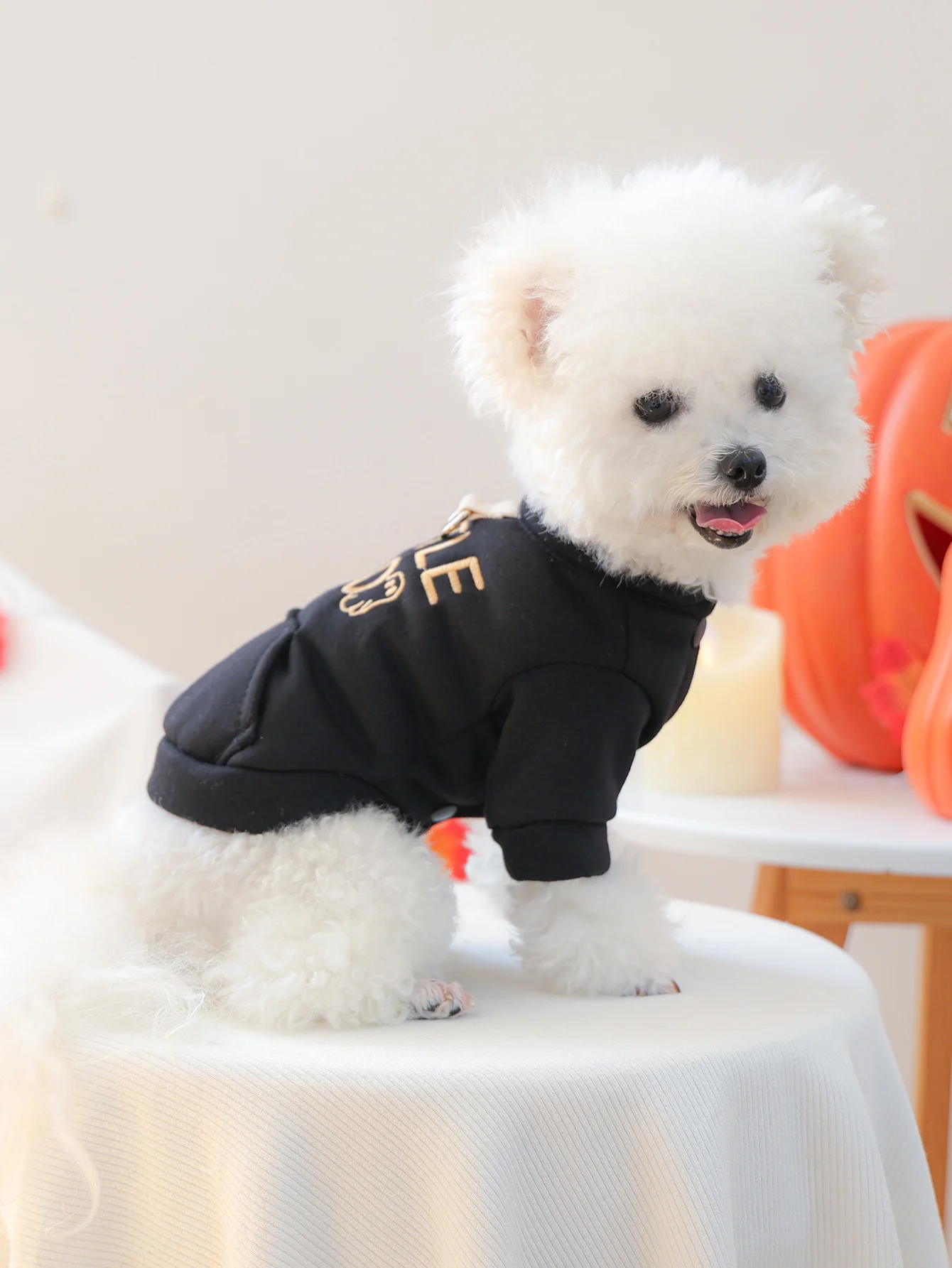 春秋用牽引フード付き犬用ウェア【小型犬・二脚タイプ】の選び方と実用性