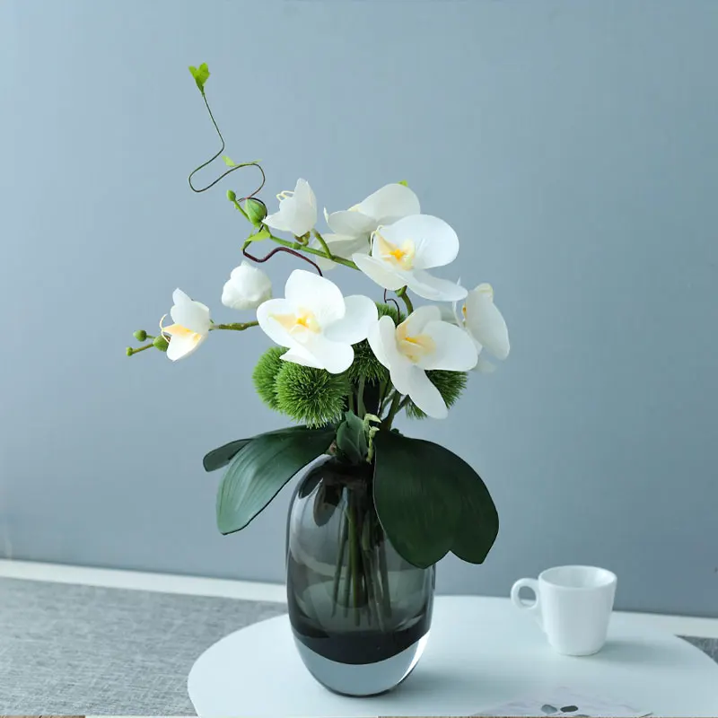 おしゃれな部屋に観葉植物を飾るなら、この1品が今最もおすすめ？