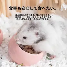 カラフル陶器製ハムスター用食器【傾斜口・小動物用】