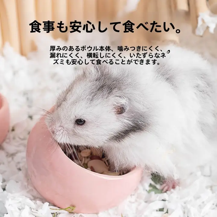 カラフル陶器製ハムスター用食器【傾斜口・小動物用】