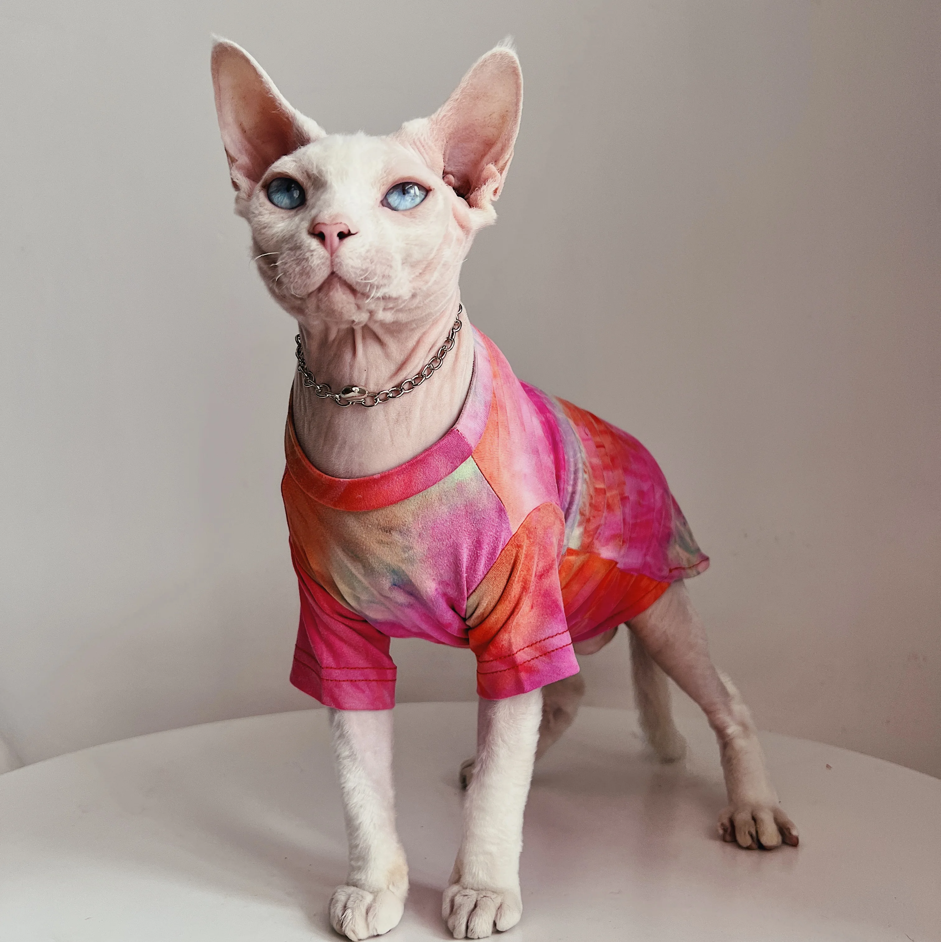 無毛猫用衣服：スフィンクス・コーニッシュ向けの肌に優しい夏用エアコン対応モデル