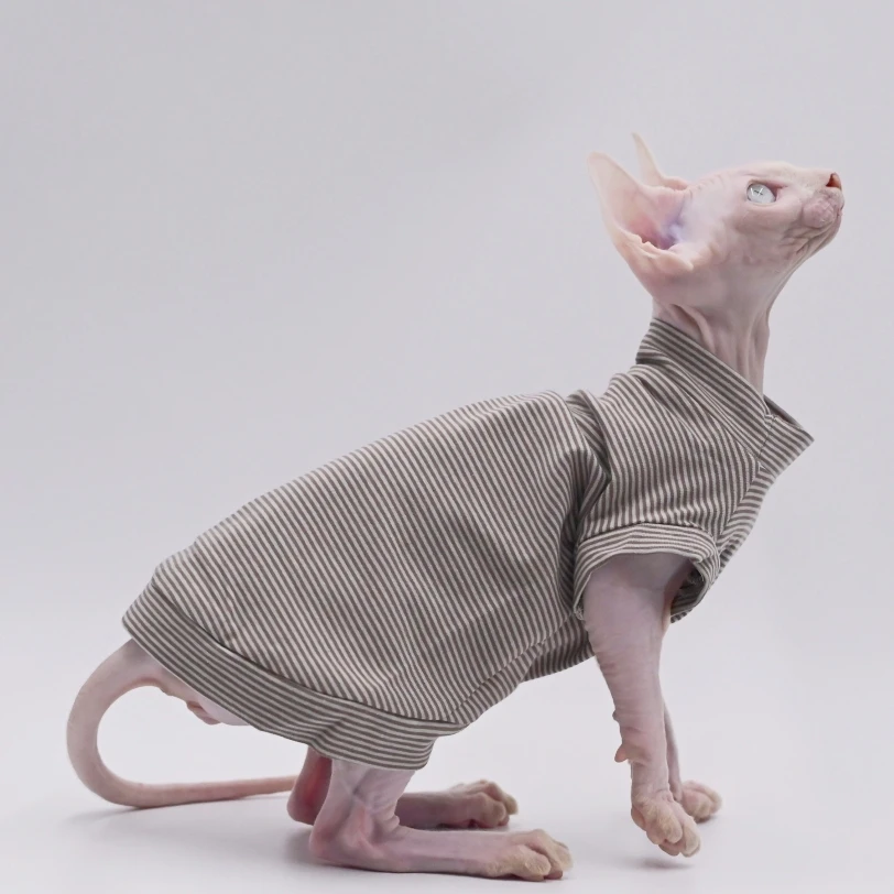 猫飼いが買ってよかったもの・悪かったもの正直に言う｜夏の快適さを実現するクールウェア徹底解説