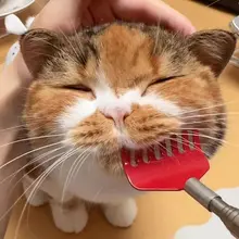 猫のかゆみスクラッチインタラクティブスクラッチ 猫用ティーザー