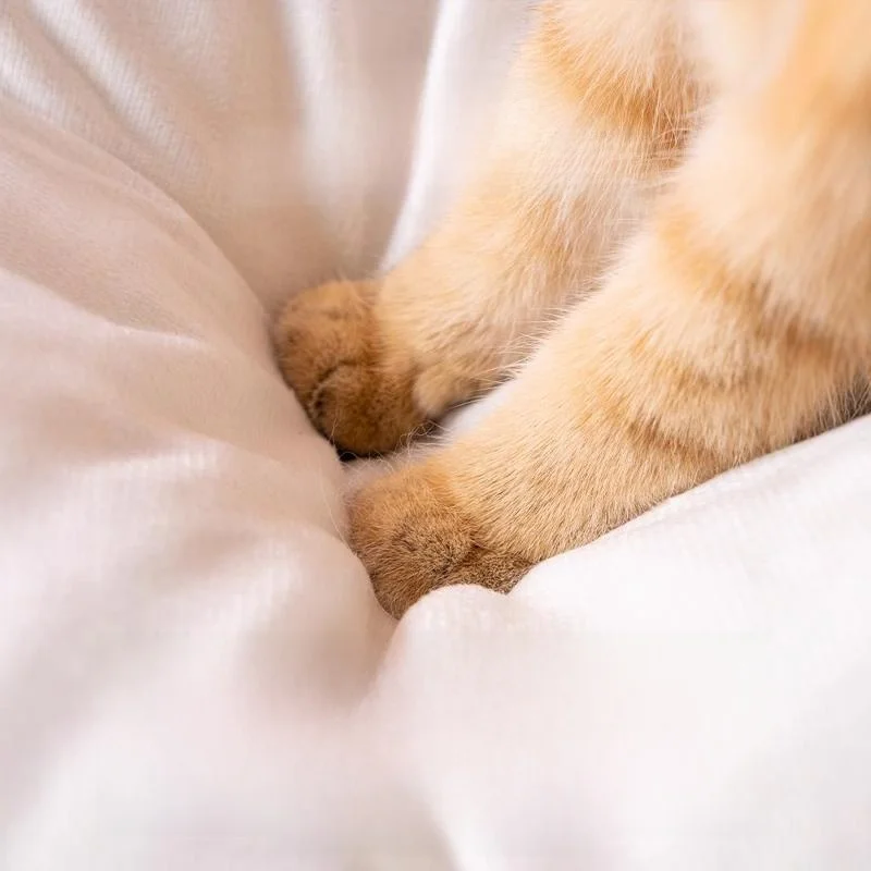 大きいサイズの猫用ベッド【四季対応・封閉式・安心感のあるデザイン・バルコニー用】は人気の理由とは？