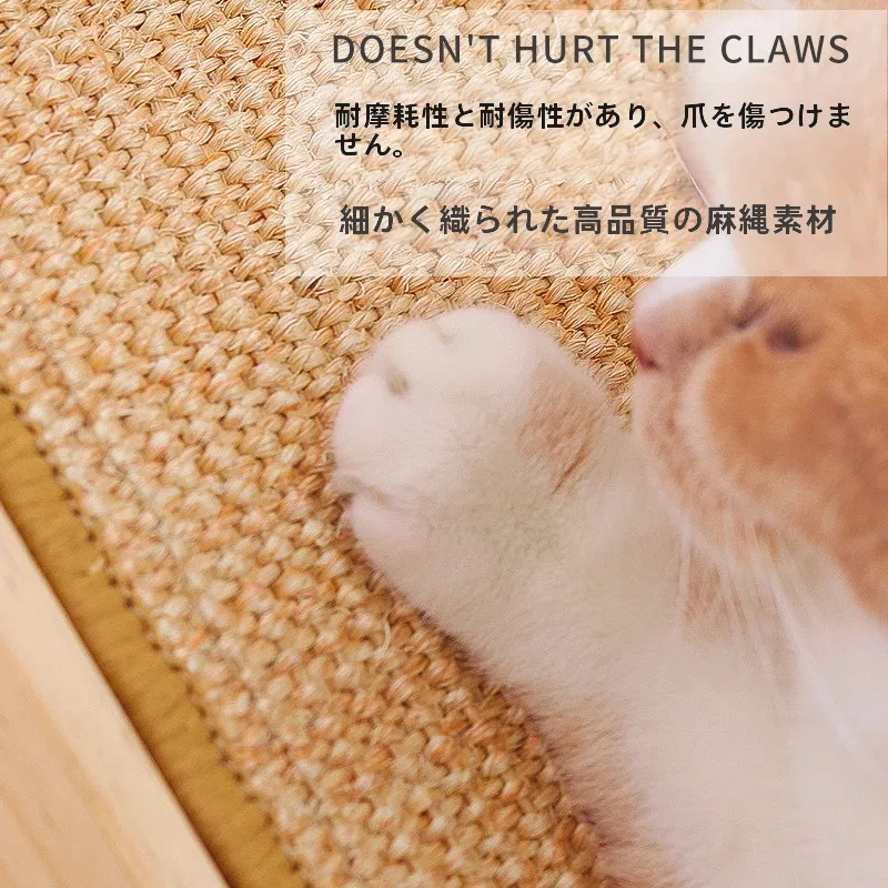 サロンボードを選ぶときに迷うのは、本当に「猫のため」なのか？