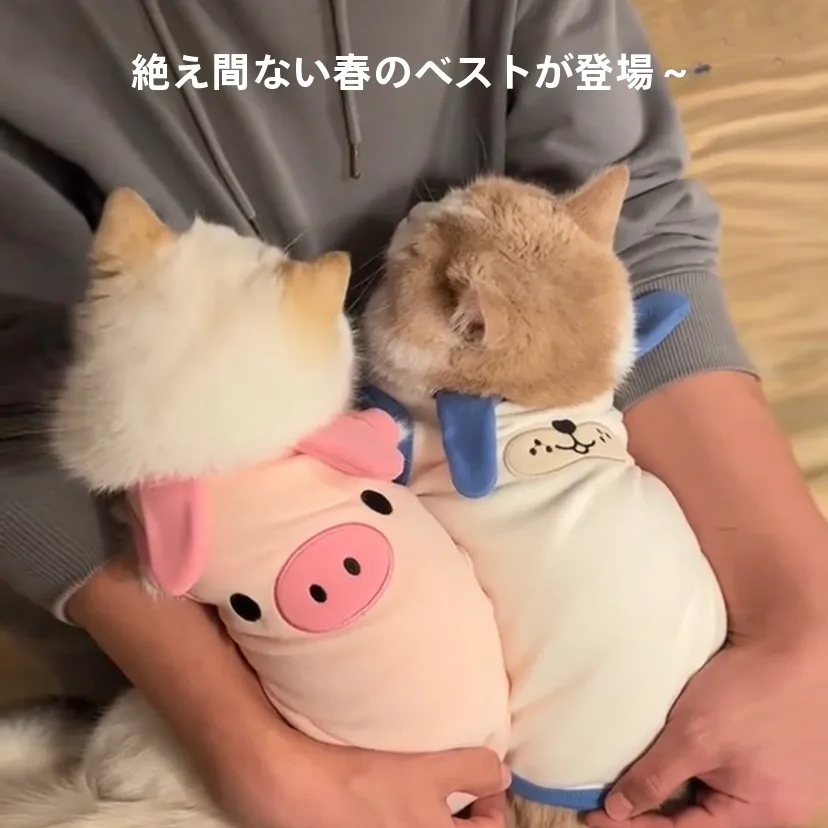 かわいい猫用春秋服：無袖ベストと毛が抜けにくいデザインの実用性解析