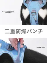 ペット用 背中ハーネス【伸縮式・大中小型犬用・散歩リード・迷子防止タグ付き】