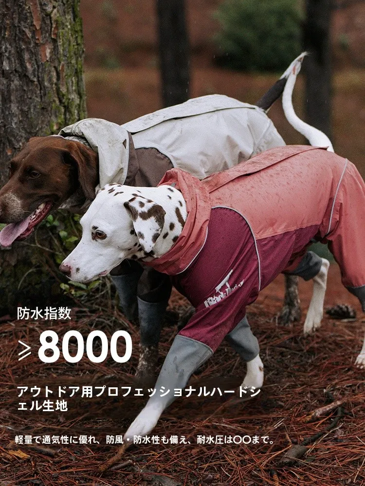 犬のお散歩グッズをコスパ良く揃える方法 - 軽量防水防汚レインコートの選定基準