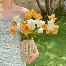インレトロな模擬花車輪菊アート