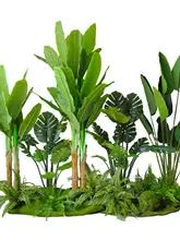 大型 観葉植物 トラベラーズバナナ モンステラ インテリア デコレーション