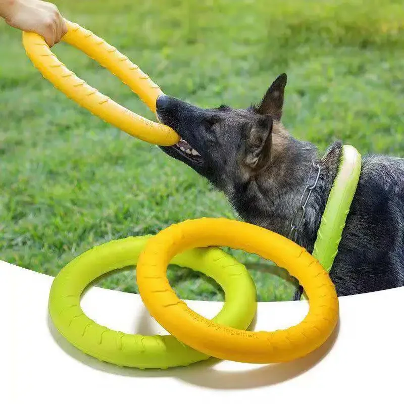 犬のお散歩グッズをコスパ良く揃える方法　完全ガイド