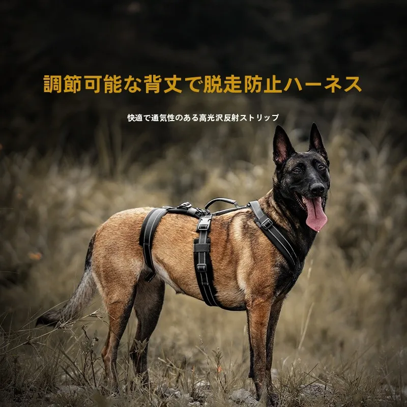 犬のお散歩グッズをコスパ良く揃える方法｜反射材付きハーネスで安全と実用を両立