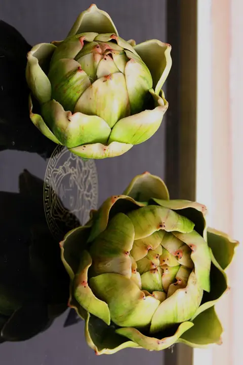 アーティチョーク植物 偽果物 装飾 リビング 花のアレンジ 家庭