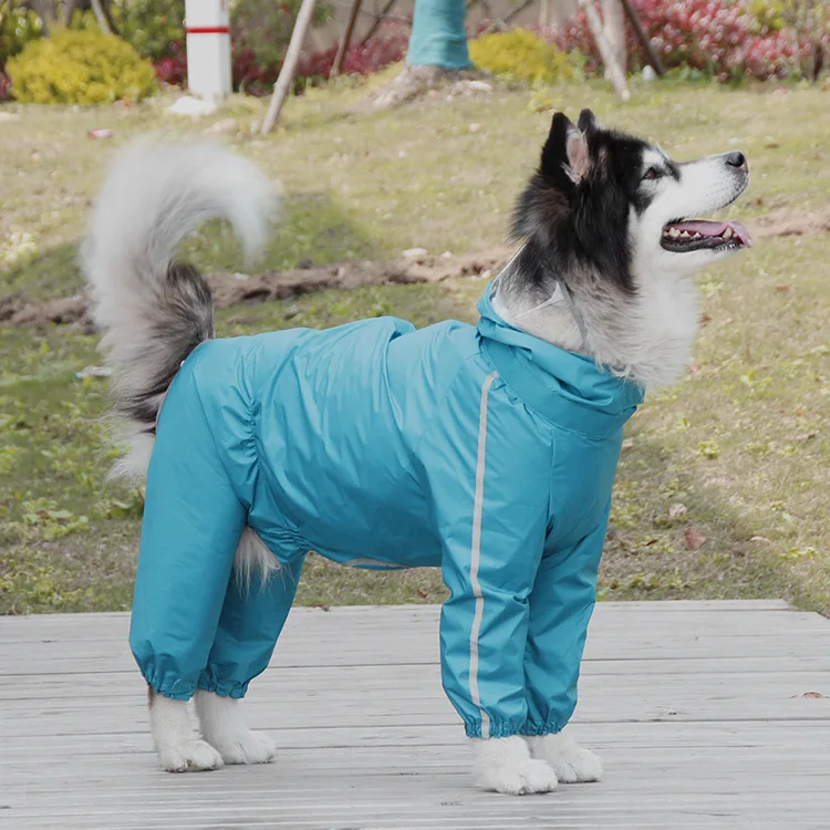 犬のお散歩グッズをコスパ良く揃える方法｜大型犬向け全覆いレインコートの選び方と実際の使い方