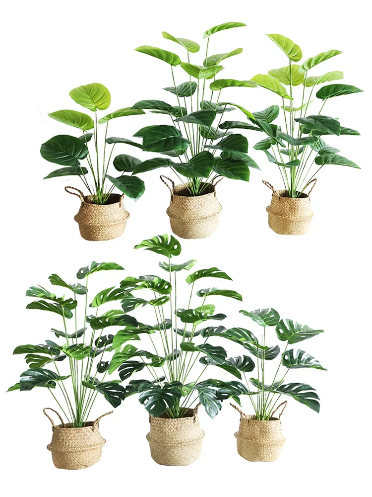 韓国カフェ風インテリアを再現するための観葉植物ツルビニ鉢植え