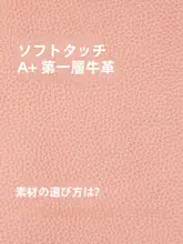 大容量現金収納ポーチ【お札・小銭用・女性向け】