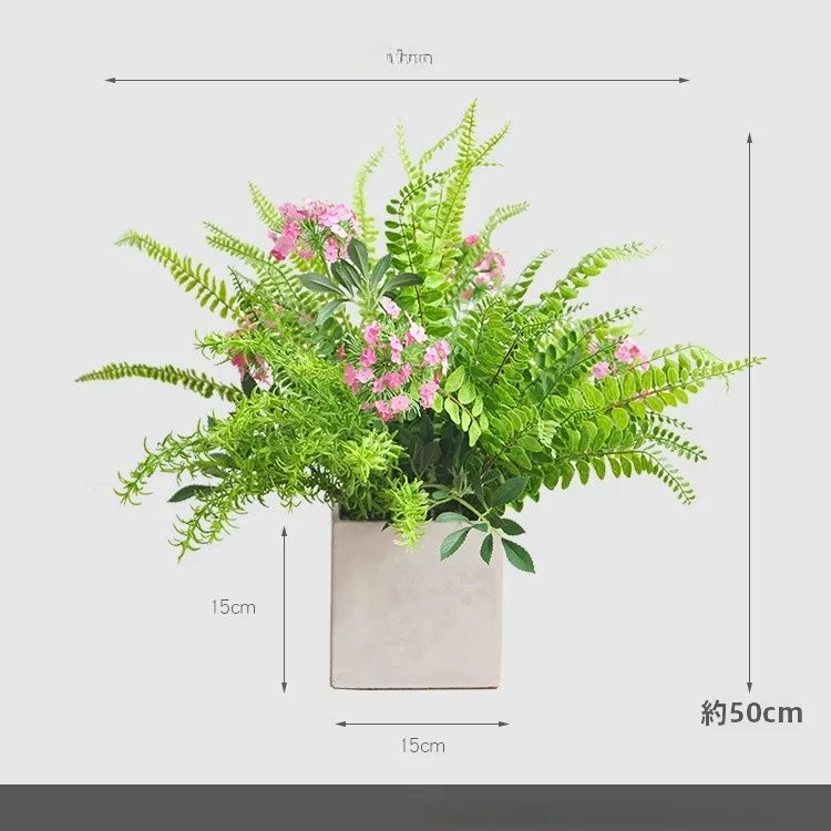 一人暮らし新生活をだけで揃えたら総額いくら？シダ植物風鉢の予算バランス徹底解説