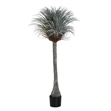 大型植物 装飾 グリーン 植木 背景リアル