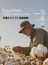 STARZHOME エジプト長綿の豪華サテンシーツ【六点セット・高級ジャガード・ホテルスタイル】（セットアップ対応）