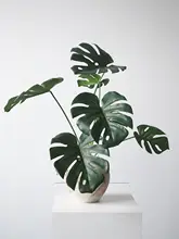 白芋葉デザインのフェイクグリーン【インテリア装飾・撮影用・柔らかい素材】