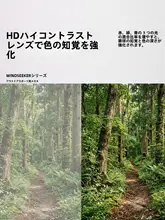スポーツサングラス レディース サイクリンググラス 防風 紫外線対策 軽量 ロードバイク アウトドア 登山 ランニング