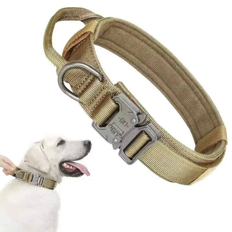 犬のお散歩グッズをコスパ良く揃える方法 - ハウンド犬用タクティカル首輪の機能とサイズ選定