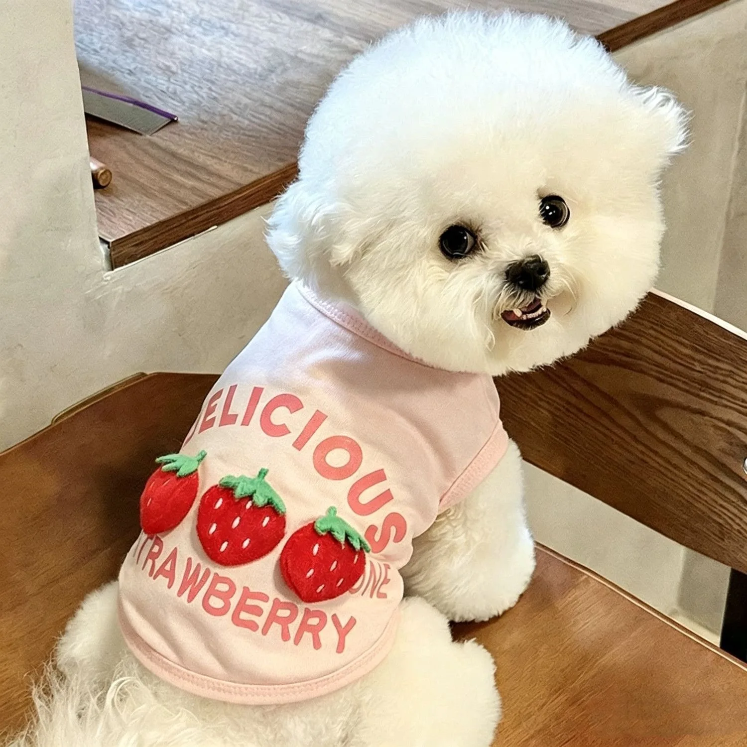 犬用浴衣【夏用通気性フライスリーブタンクトップ】の実用性と選び方
