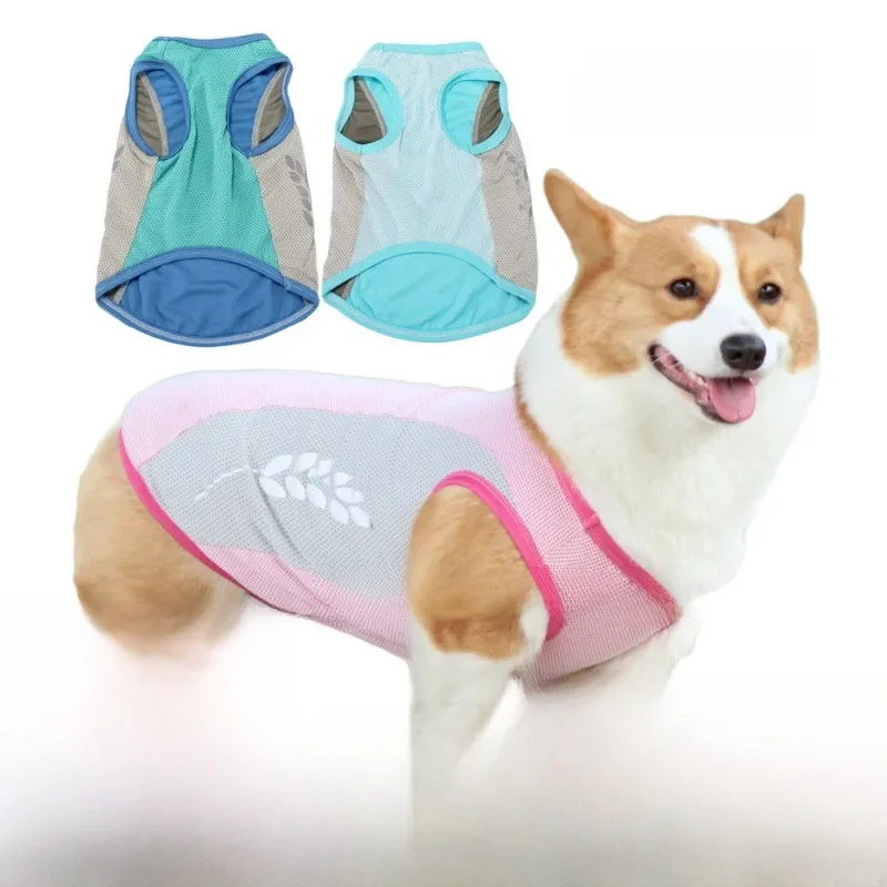 犬のお散歩グッズをコスパ良く揃える方法 - シリコンリードの多サイズ対応とコストパフォーマンス