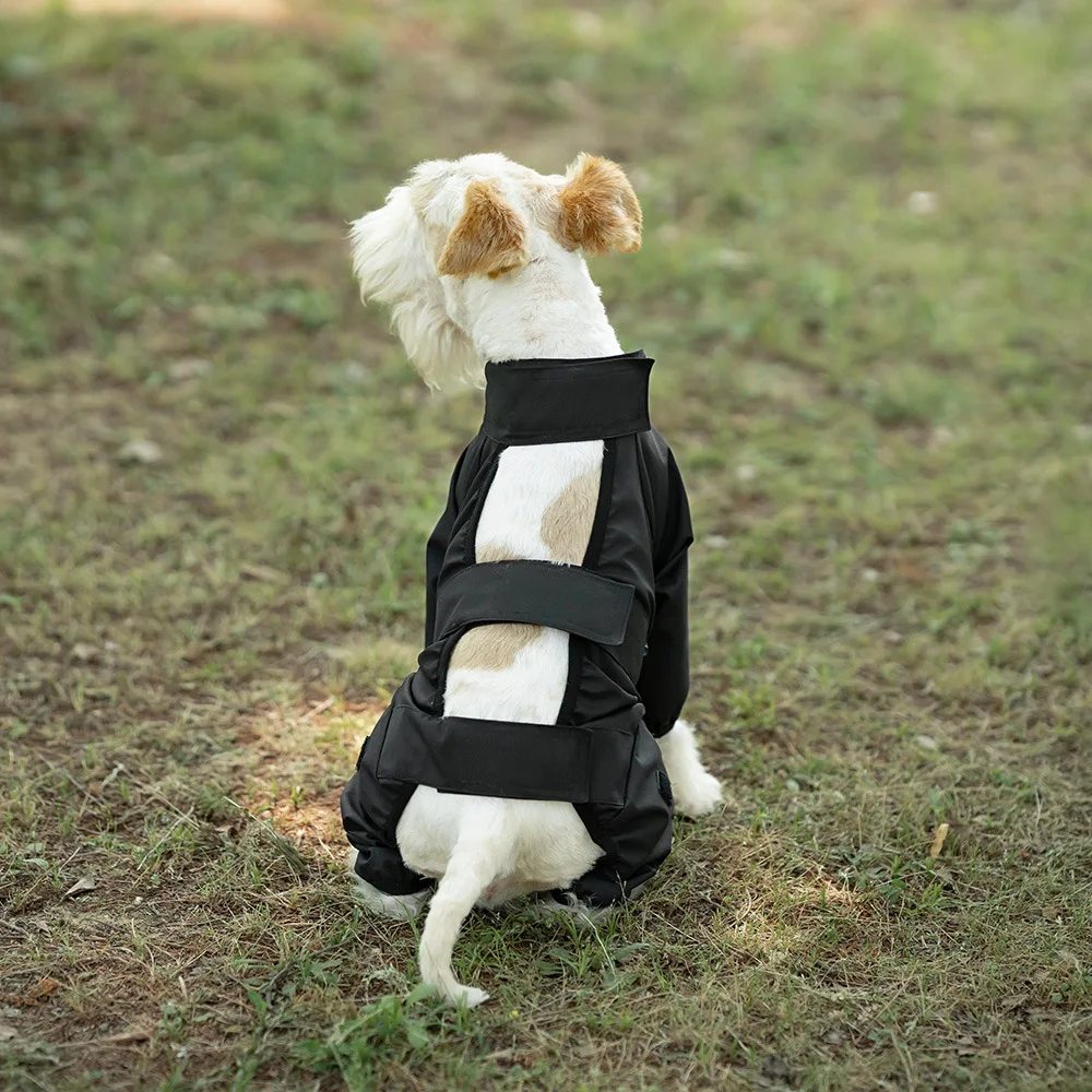 犬のお散歩グッズをコスパ良く揃える方法は？この1品で90%の雨の日を救う