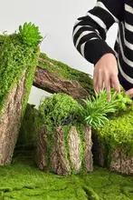 植木鉢 木製 樹皮 苔 テラリウム DIY 寄せ植え インテリア インスタ映え 撮影用小物